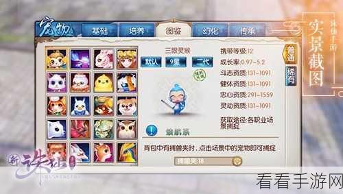 诛仙手游，二代宠物获取与技能解锁秘籍