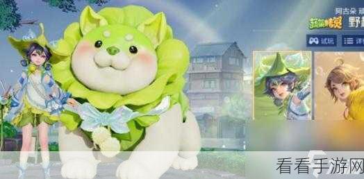 王者荣耀菜狗天幕获取秘籍大公开