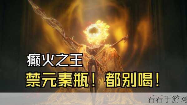 艾尔登法环癫火结局触发秘籍，成就癫火之王