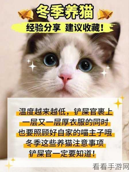 期待已久！做你的猫发售时间大揭秘