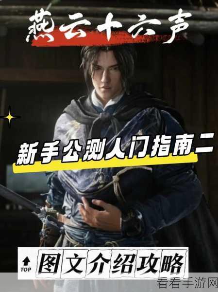 燕云十六声中太极之谜的终极解谜指南