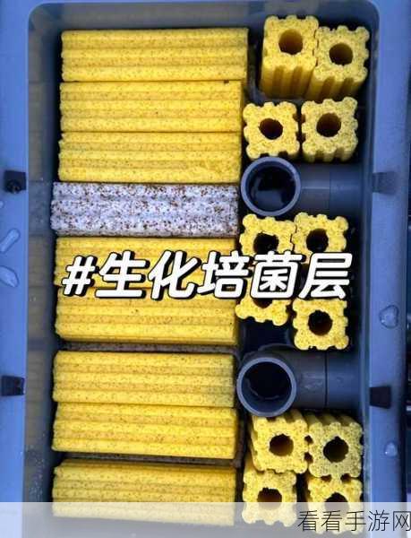 饥荒必备技能，鱼缸巧制秘籍