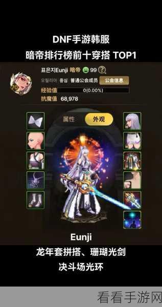 DNF 韩服 2024 职业排名大揭秘，震撼出炉！