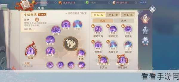 玄中记破军专精秘籍，精准选择指南