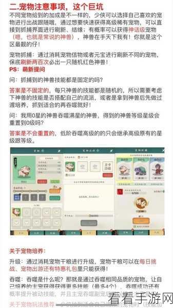 仙剑问道侠客合成秘籍,合宠攻略大揭秘