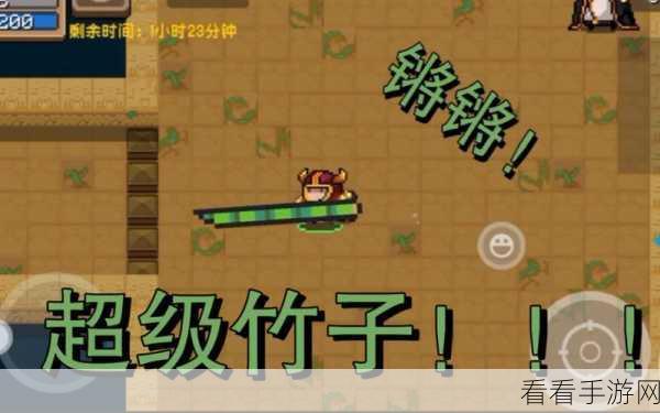 元气骑士，竹子背后的神秘力量