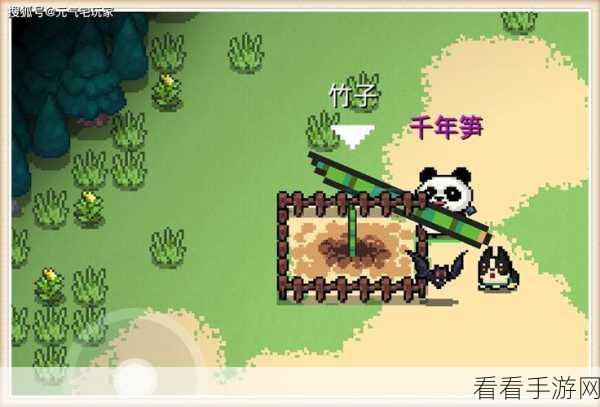 元气骑士，竹子背后的神秘力量