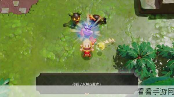 塞尔达中央海拉鲁，咕咕鸡捕捉秘籍大公开