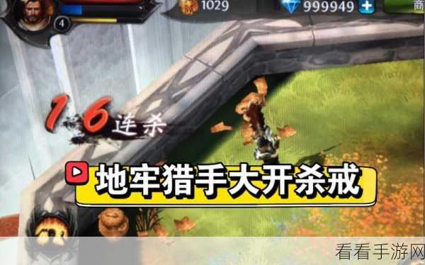 轻松搞定！地牢猎手 4 中文设置全攻略