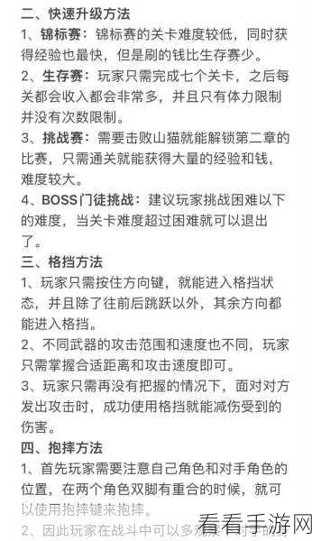 暗影格斗 3 无敌格挡秘籍，技巧全解析