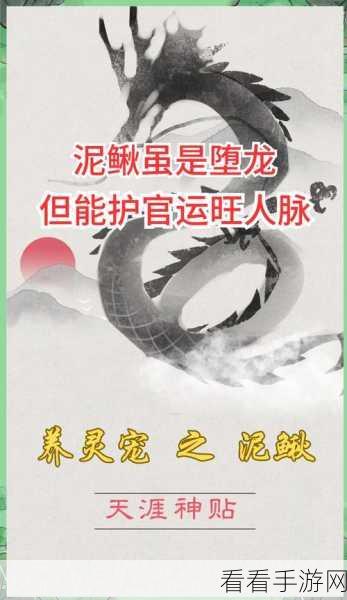 部落大作战，神秘传说宠物全揭秘