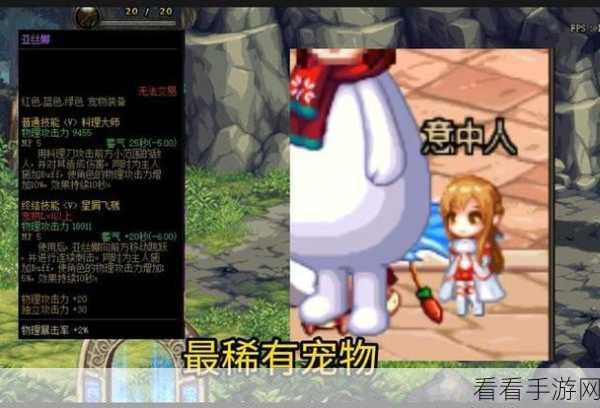 DNF 精灵弩兵宠物属性全解析，你想知道的都在这！