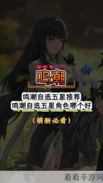 鸣潮角色星级鉴别秘籍，5 星与 4 星的精准区分