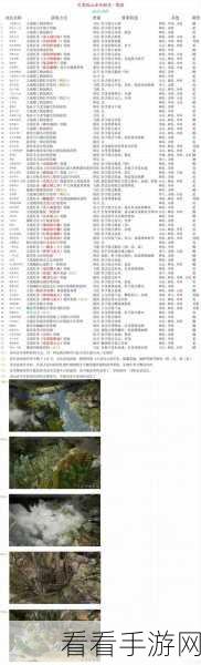 江湖风云录木头速得秘籍大公开