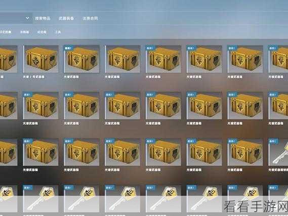 2024 年 CSGO 箱子掉落机制大揭秘，全箱子概率精准剖析
