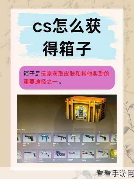 2024 年 CSGO 箱子掉落机制大揭秘，全箱子概率精准剖析