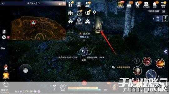黑色沙漠手游，轻松获取黑色瘦猫秘籍大公开