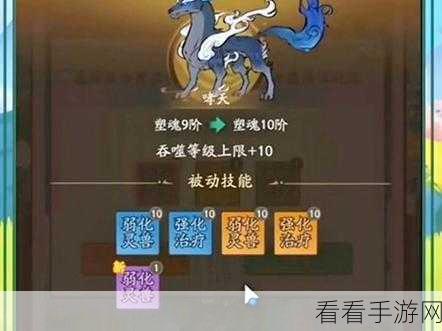 探秘寻道大千，破甲与格挡词条的深度剖析与计算攻略