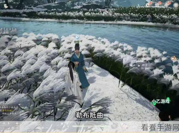 射雕手游梦华录，梅坞全收集秘籍大公开
