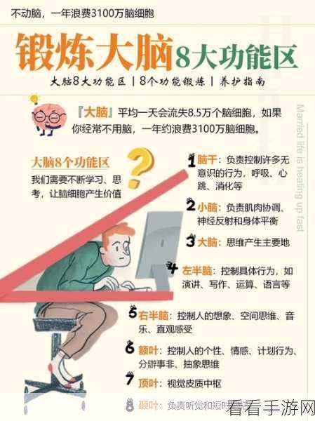 动脑我最牛，通关秘籍大揭秘