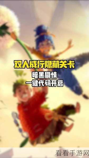 双人成行，完美双人畅玩秘籍大揭秘