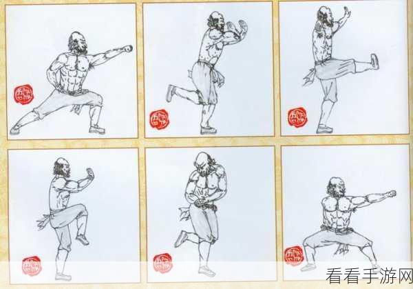 烟雨江湖，深度解析少林寺提纵术的神秘招式