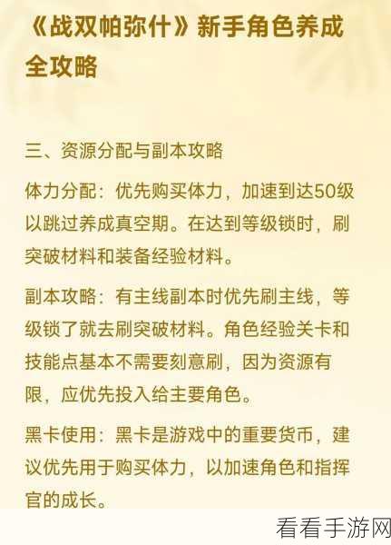 战双帕弥什等级飙升秘籍，快速升级指南大揭秘