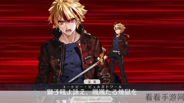 FGO 理查一世从者深度剖析，实力与魅力并存