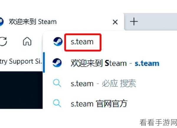 Steam 俄区账号注册秘籍，图文全流程详细解析