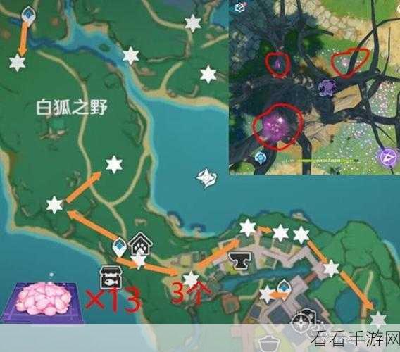 原神神里绫华突破必备，绯樱绣球采集全路线指南