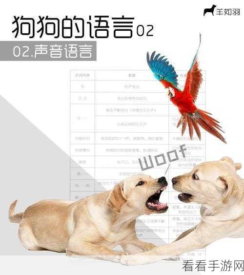 鸣潮倾听动物之声犬语翻译任务全攻略