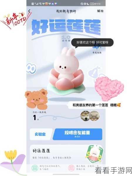 QQ 宠物心情提升秘籍，轻松让宠物快乐起来