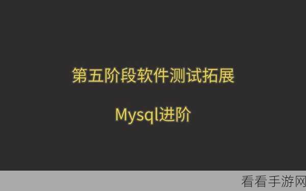 手游安全新突破，揭秘简易MySQL数据库检测工具的研发与应用