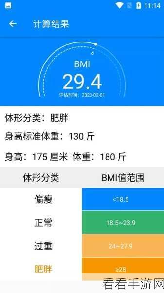 手游开发者必看，打造专属BMI计算工具全攻略