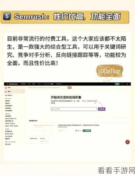 手游开发者必备，RankQuest SEO工具栏助力游戏排名飙升秘籍