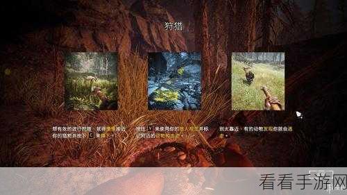 孤岛惊魂，原始杀戮PS4版存储攻略大揭秘