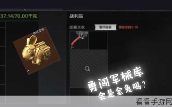 暗区突围，揭秘金兔挂饰获取攻略，赢取稀有饰品不是梦！