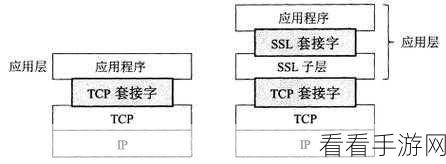 手游网络新揭秘，SSL代理服务器如何捕获非HTTP协议流量，提升游戏安全？