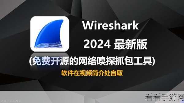 手游网络优化神器，Wireshark助力开发者精准分析