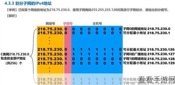 BSDRP手游网络革新，定制化IP路由服务引领游戏流畅新时代