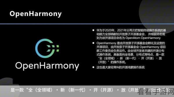 鸿蒙数字技能挑战赛启动，深圳专项培养计划助力人才孵化