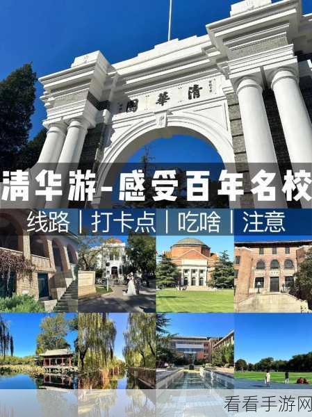 清华大学2024年手游研发岗位大招募，顶尖学府邀你共创游戏未来！