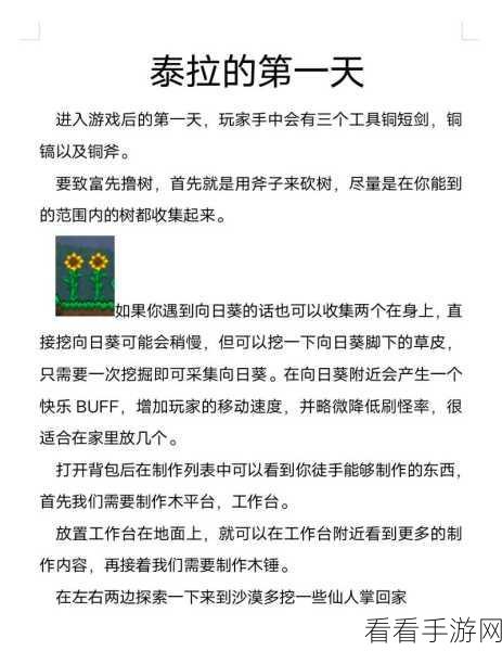 泰拉瑞亚深度攻略，解锁黑曜石套装，打造无敌防御的终极秘籍