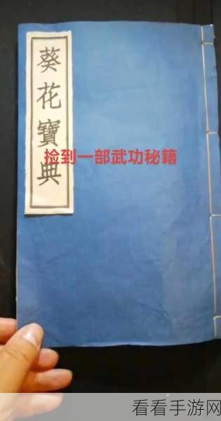 金庸群侠传顶尖武功秘籍揭秘，小牺牲背后的绝世武学