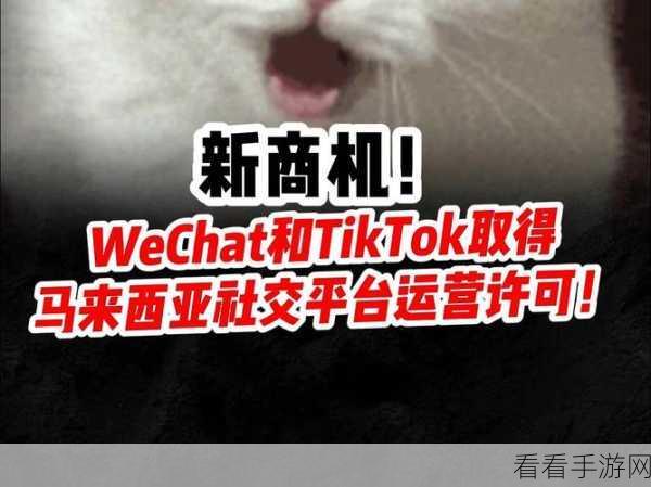 马来西亚正式授权，微信、TikTok喜提App运营许可，市场格局迎新变