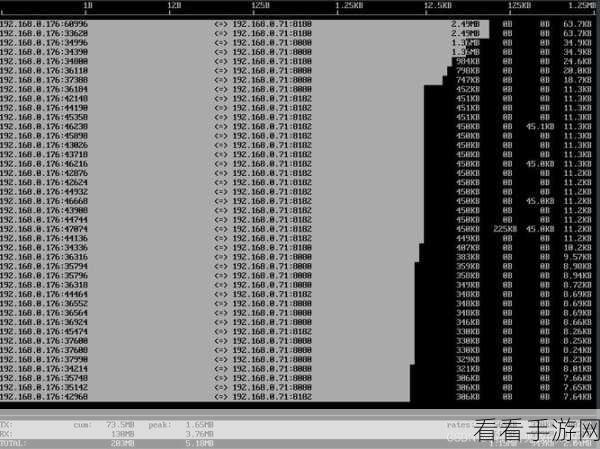 手游开发者必备，Linux系统下的性能监控利器详解