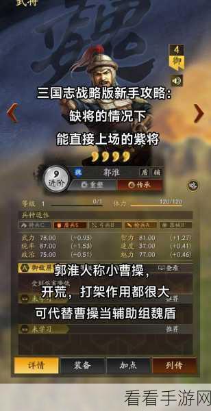 三国志14新手必看，开局策略全解析，助你称霸天下