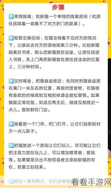 原神稻妻寝子任务全攻略，解锁迟来的好事，养猫达人的必备指南