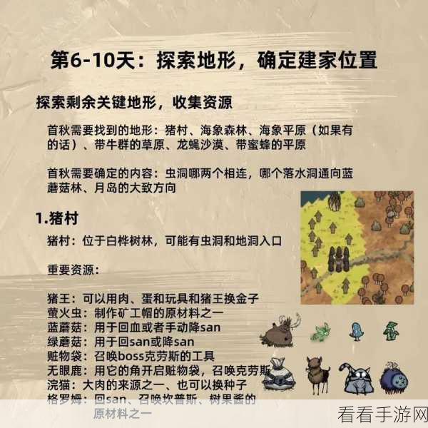 饥荒新手联机全攻略，避坑指南与高效合作秘诀