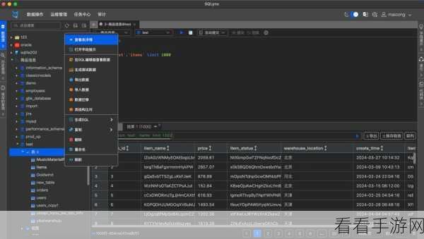 手游开发者必备神器，SQLView数据库管理工具深度解析